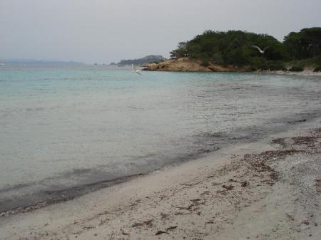 porquerolles.jpg